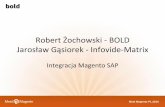 Magento - SAP - studium przypadku Mennica Polska