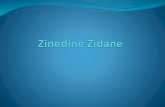 Biographie zinedine zidane