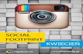Social Footprint - Instagram