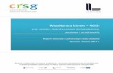 Raport nt. współpracy ngo i biznesu