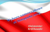 Aleksander Kr³likowski