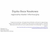 Śląska Baza Naukowa - regionalny klaster informacyjny