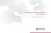 Ekspertki rządu Ewy Kopacz - raport medialny - 2014