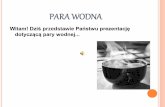Para wodna / Water steam