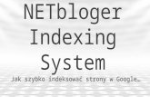 Ne tbloger indexing system
