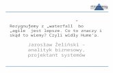 J. Żelinski: Rezygnujemy z waterfall...