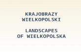 Krajobrazy Wielkopolski