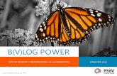 Blog power raport