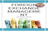 Foreign exchange management