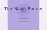 The Mazer Runner