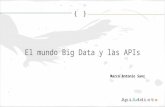 El mundo Big Data y las APIs