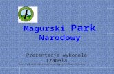 Magurki park narodowy