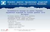 Анализ возможностей по выходу на рынок пружинных изделий Украины (май 2014)