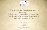 XIV Krajowa Wystawa Myszy Rasowych Polish Mouse Club
