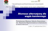B Niemczuk - Biomasa alternatywa
