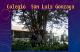 Colegio San Luis Gonzaga