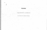 Adorno Theodor - El Ensayo Como Forma (Cv)