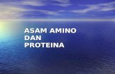 k.6-7 Asam Amino Dan Proteina1