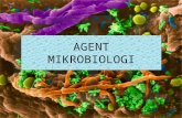 Agent Mikrobiologi