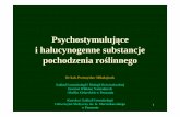 Substancje Roslinneo Działaniu Psychostymulujacym i Halucynogennym Jurata 2010 Polskie Wersja Short2