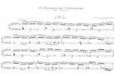 IMSLP112168-PMLP07151-Moritz Moszkowski - 15 Etudes de Virtuosite Op 72