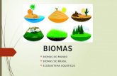 Biomas Do Mundo