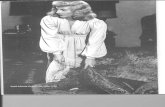 Amor y Trama Cine Negro Billy Wilder Otto Preminger Fritz Lang