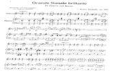 Anton Diabelli, Gran Sonata Brillante