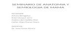 Semiologia de La Mama