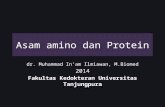 2015 Asam Amino Dan Protein