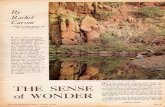 Rachel Carson - Sense of wonder 1.pdf