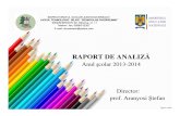 Raport de analiza 2013 2014