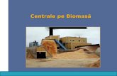 Centrale Pe Biomasa