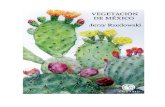 Vegetación de México - Jerzy Rzedowski
