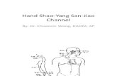 Class 8 - Hand Shao-Yang San-Jiao Channel