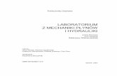 Laboratorium z mechaniki płynów i hydrauliki - Katarzyna Weinerowska