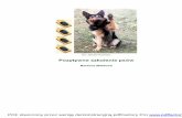01 Pozytywne szkolenie psów - Barbara Waldoch
