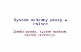 System Ochrony Pracy w Polsce