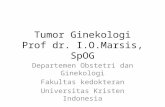 tumor ginekologi