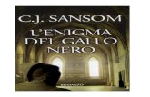Enigma Del Gallo Nero, L' - Christopher John Sansom