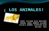 ¡CLASIFICACIÓN DE LOS ANIMALES!