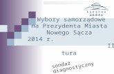 Wybory samorządowena Prezydenta Miasta Nowego Sącza 2014 r.