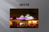 Quito olme