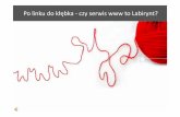 Po linku do kłębka - czy serwis www to Labirynt? / Dorota Kostowska, Hubert Turaj