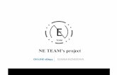 "NE Team's Project" po polsku