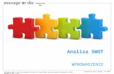 Analiza SWOT - Manage or Die Inspirations