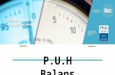 P.U.H Balans