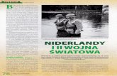Armia Holandii 1940 - Artykuł Historia
