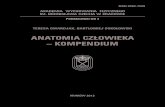 anatomia-czlowieka-kompendium (1).pdf