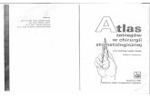 Atlas ZabiegĂłw w Chirurgii Stomatologicznej [L. Kryst] (1991)